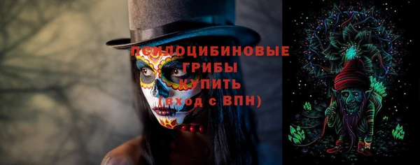 ГАЛЛЮЦИНОГЕННЫЕ ГРИБЫ Алзамай