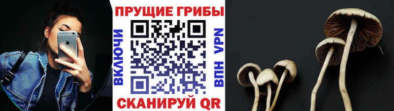 Галлюциногенные грибы Magic Shrooms Снежногорск